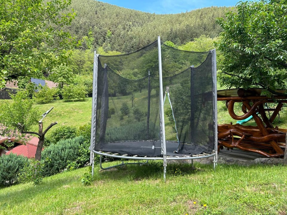 Pensiunea Hanzu Darius Farm Stay in Romania