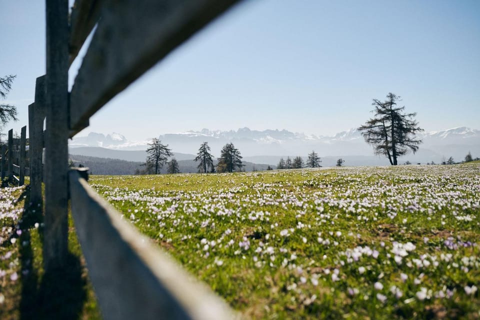 Natural landscape