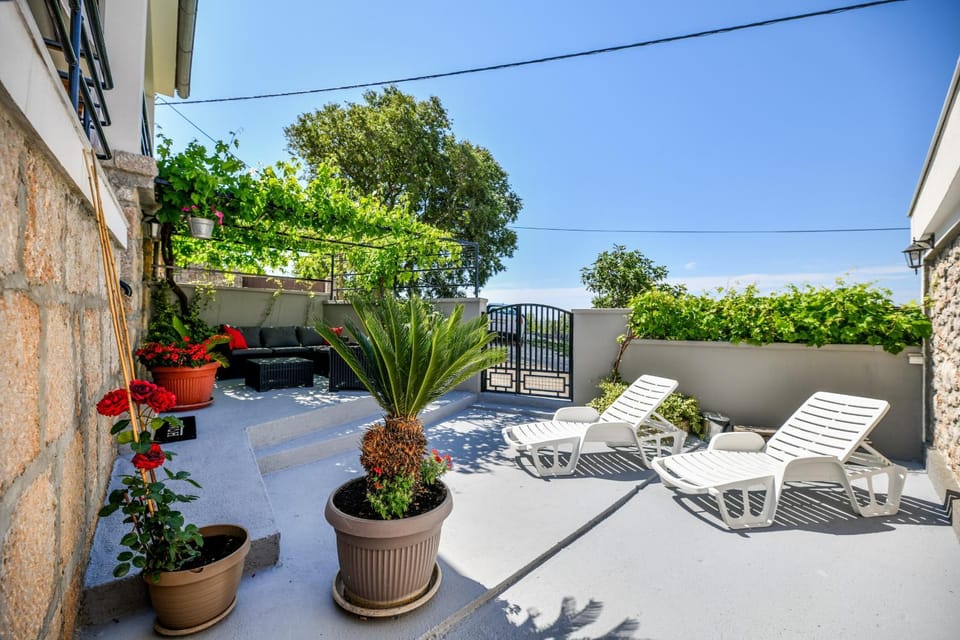 Patio, Garden