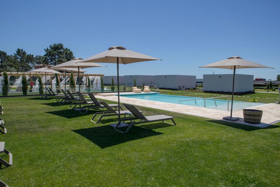Natural landscape, Garden, Swimming pool, sunbed