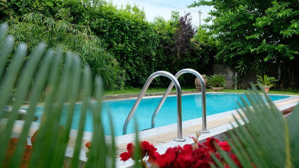 Day, Garden, Swimming pool