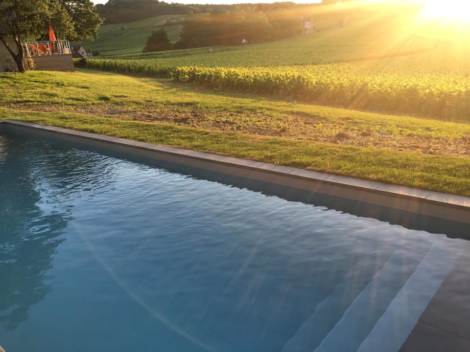 Swimming pool, Swimming pool