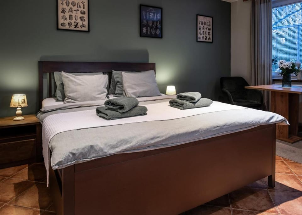 Bed, pet friendly
