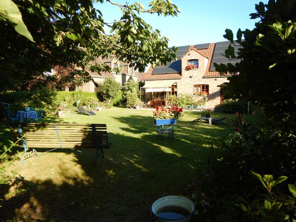 Summer, Garden, Garden view