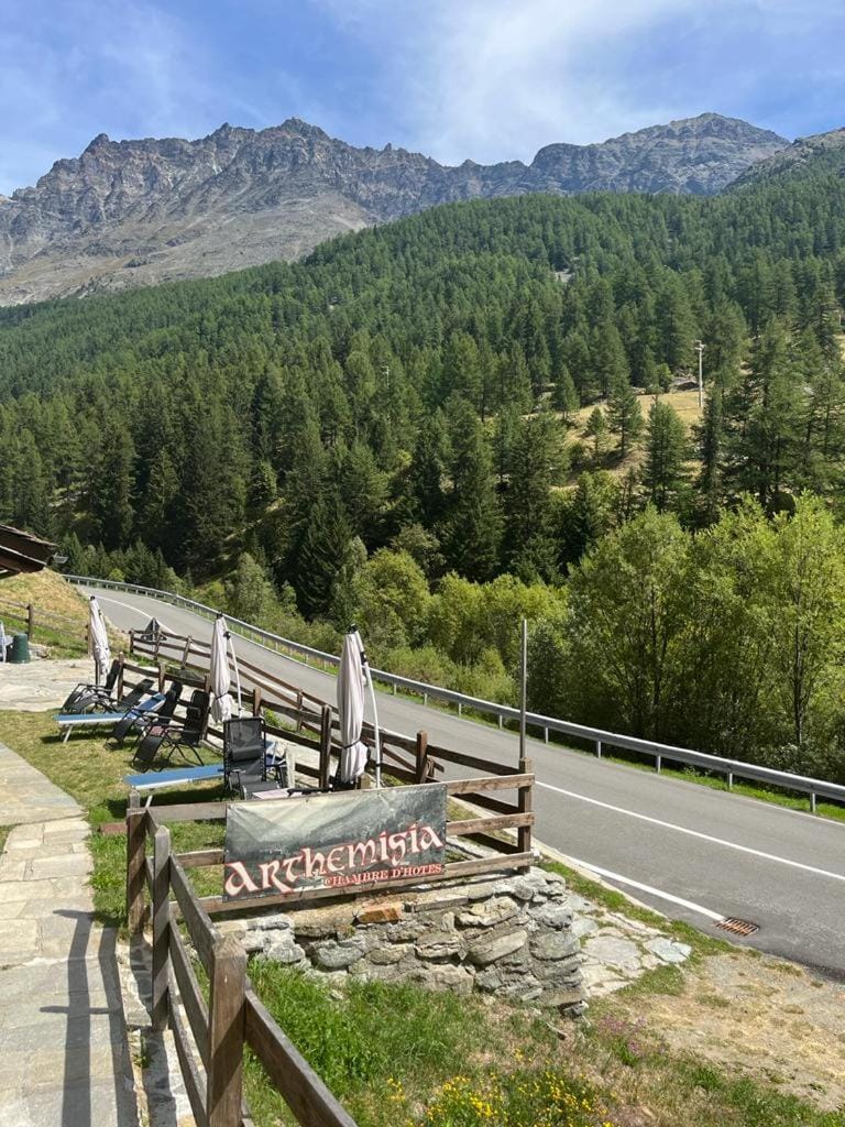 Mountain view