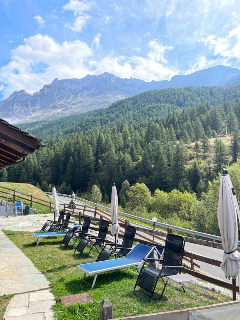 Garden, Mountain view, sunbed