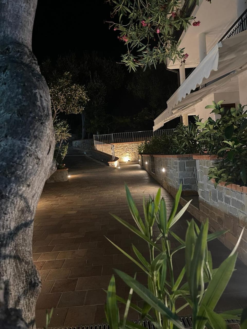 Night, Garden