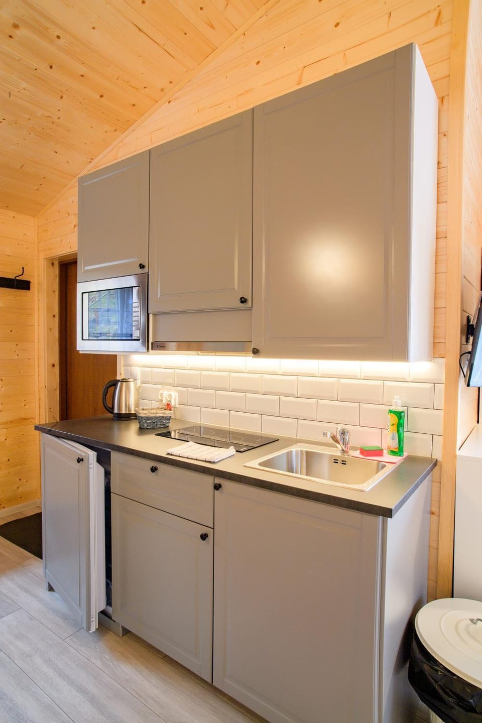 Kitchen or kitchenette, minibar, pet friendly, stove