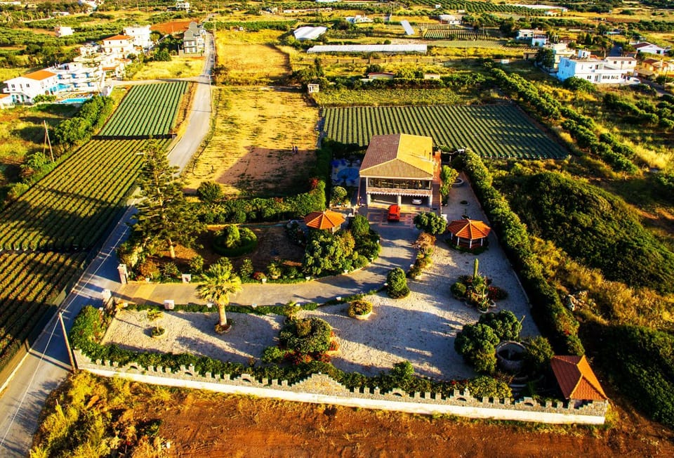 Property building, Patio, Bird's eye view, BBQ facilities, Garden, View (from property/room), Garden view, Pool view, Street view, Swimming pool