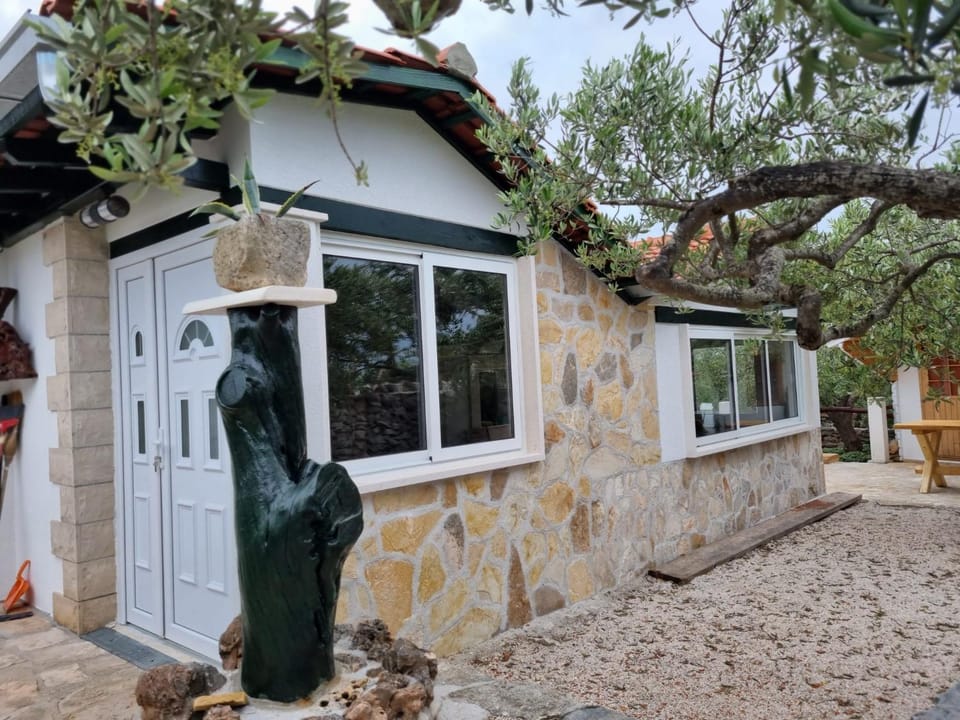 Property building, Garden view