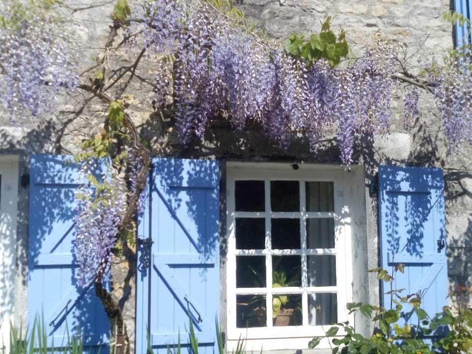 Spring