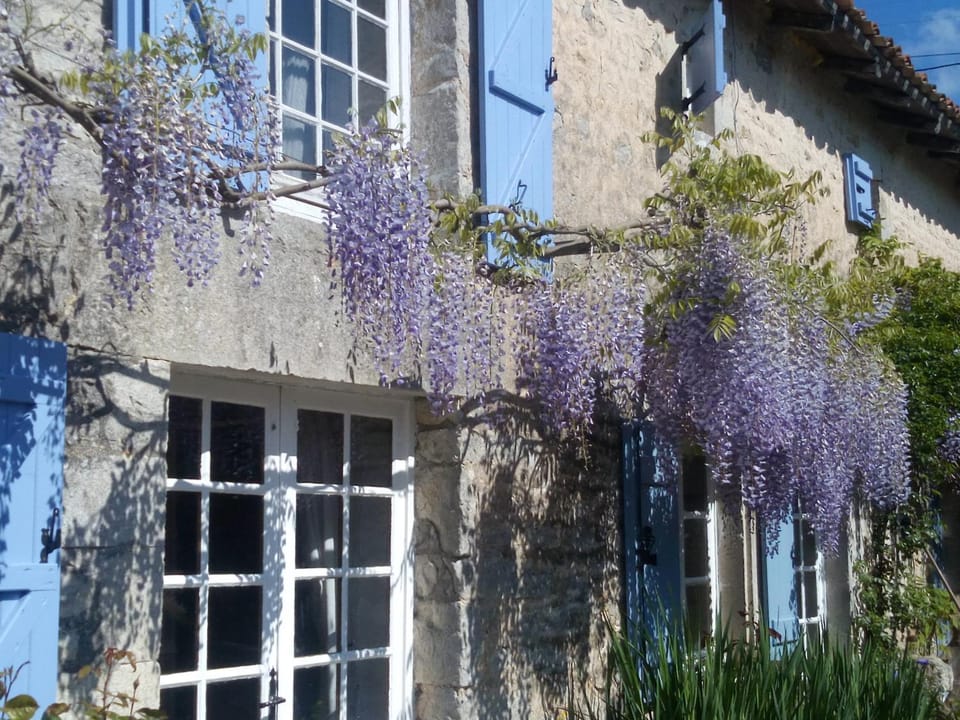 Chat Noir Gite et Chambre D'Hotes Bed and Breakfast in Nouvelle-Aquitaine