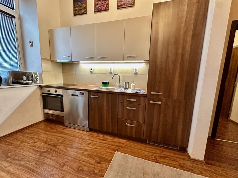 Kitchen or kitchenette, dishwasher, minibar, oven, pet friendly, stove