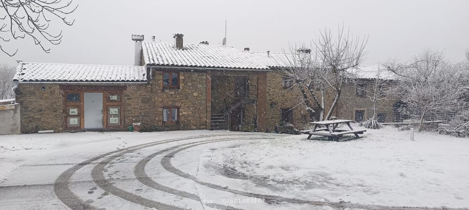 Property building, Day, Winter