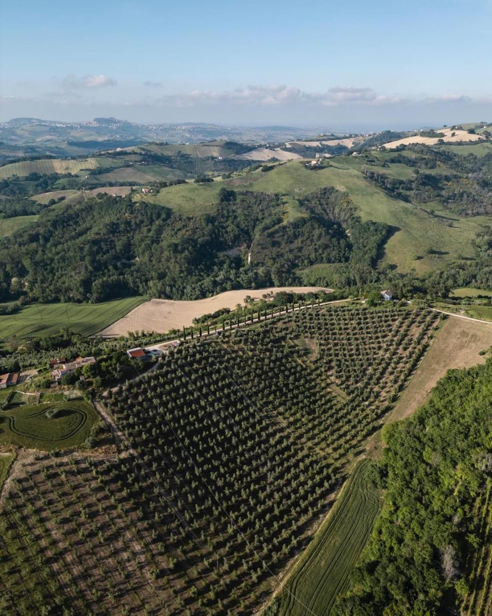 Natural landscape, Bird's eye view