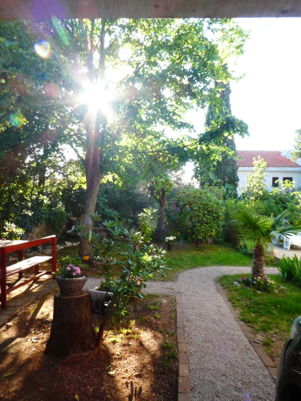 Patio, Day, Garden
