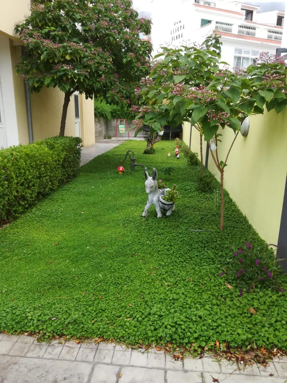 Neighbourhood, Natural landscape, Garden