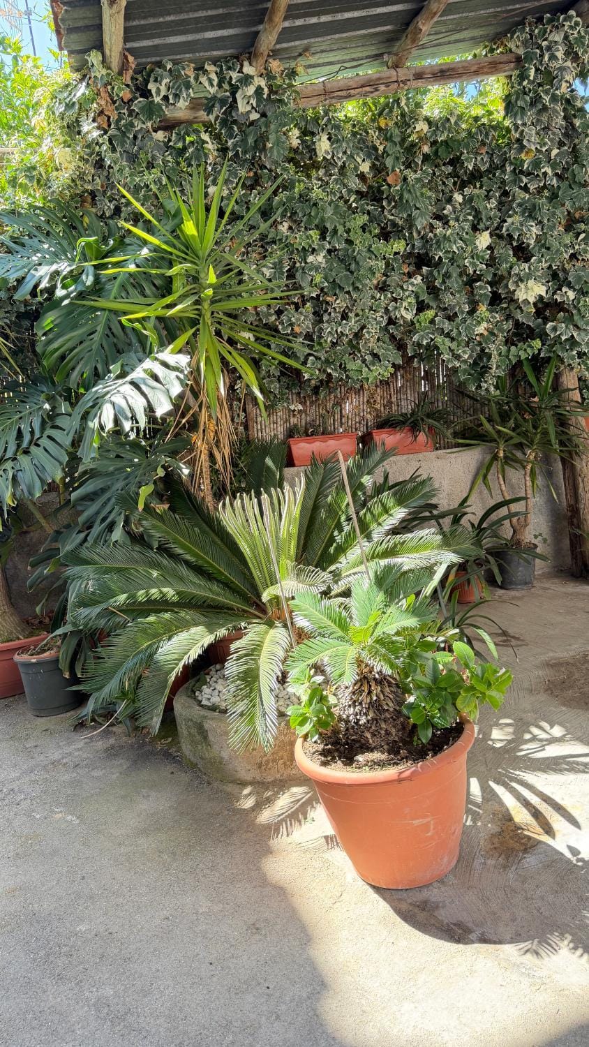 Garden, Garden view