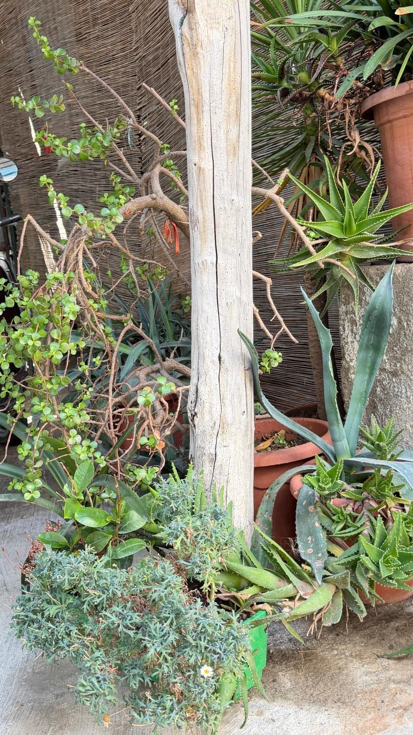 Garden, Garden view