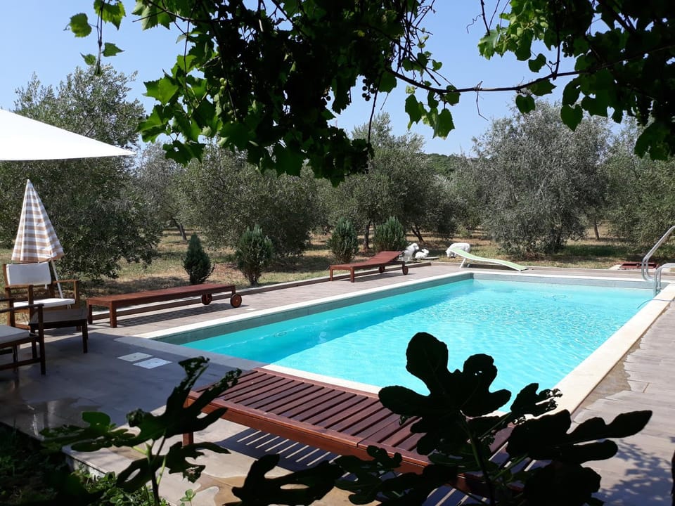 Pool view