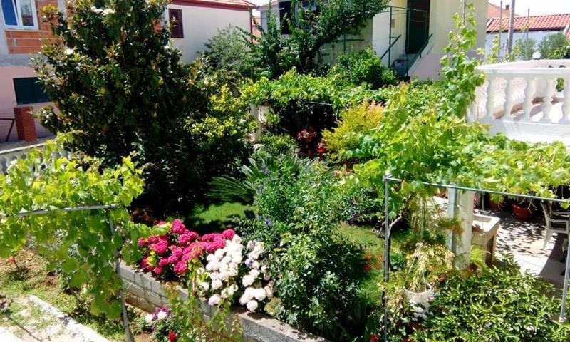 Natural landscape, Garden, Garden view