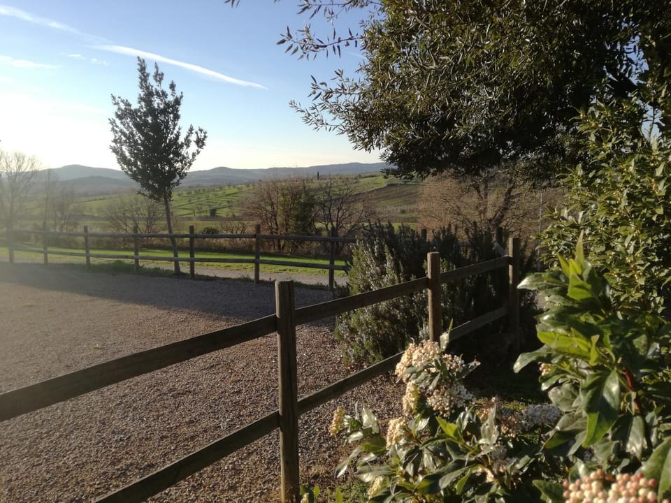 Spring, Other