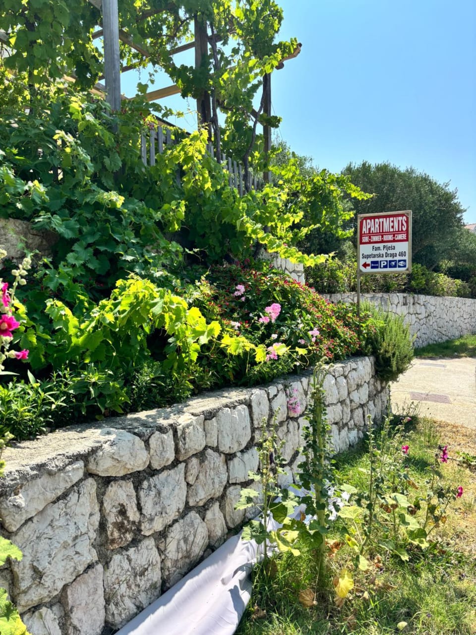 Property logo or sign, Natural landscape