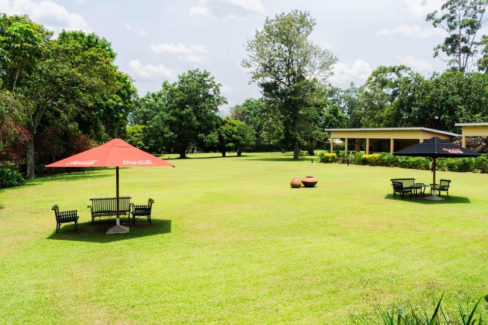 Garden, Garden view