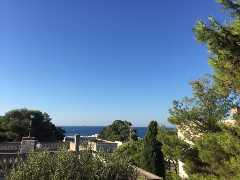 Casa la Mimosa House in Apulia