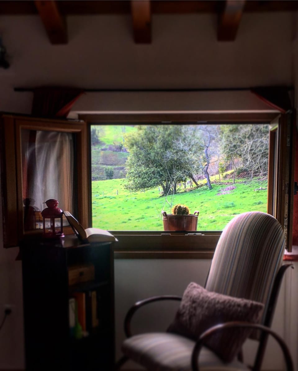 View (from property/room)