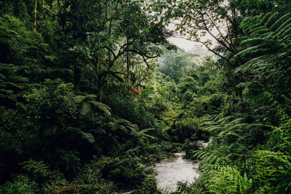 Natural landscape