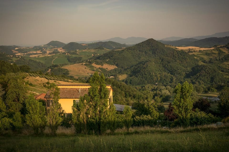 View (from property/room)