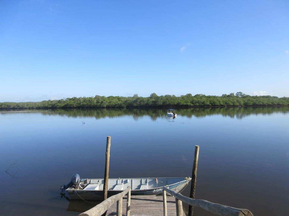 Natural landscape, Activities, River view