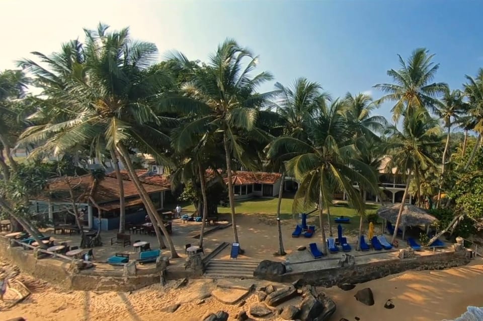 Day, Garden, Beach, Garden view, Sea view