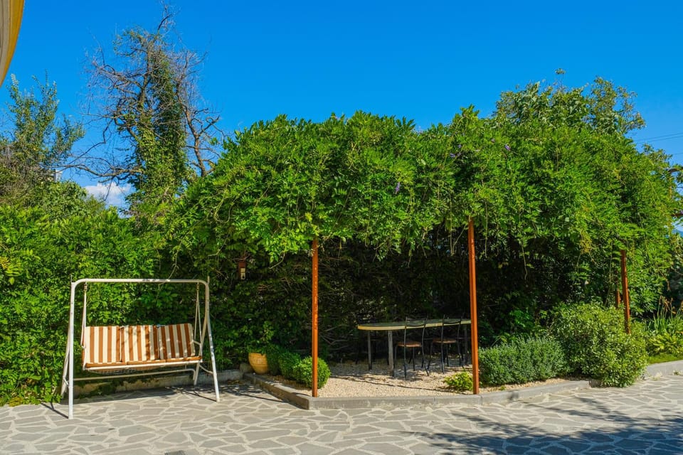 Children play ground