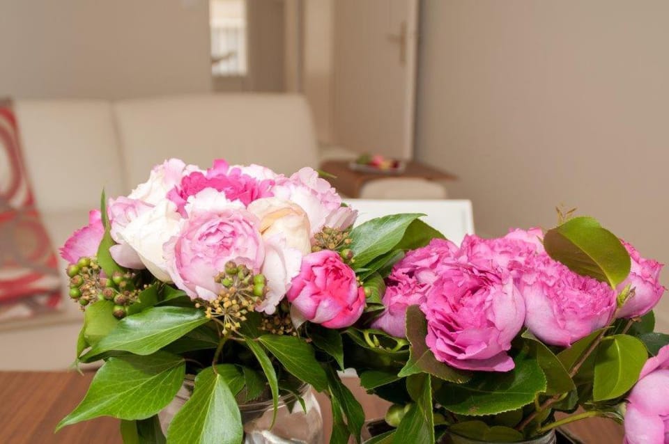 St Germain des Prés, Paris Apartment in Paris