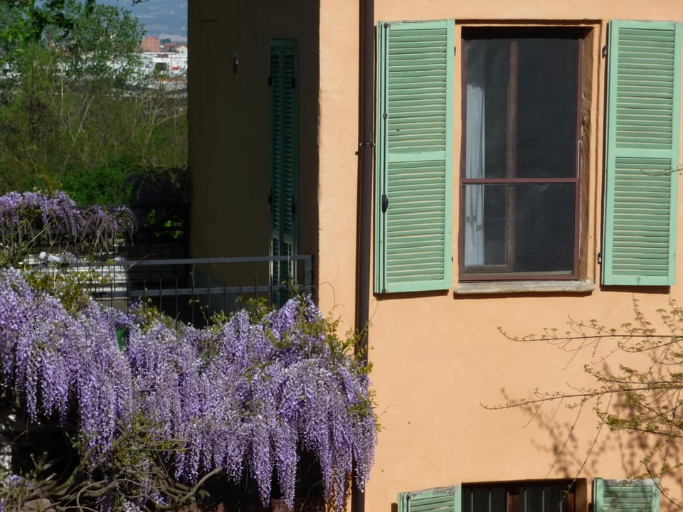 View (from property/room)