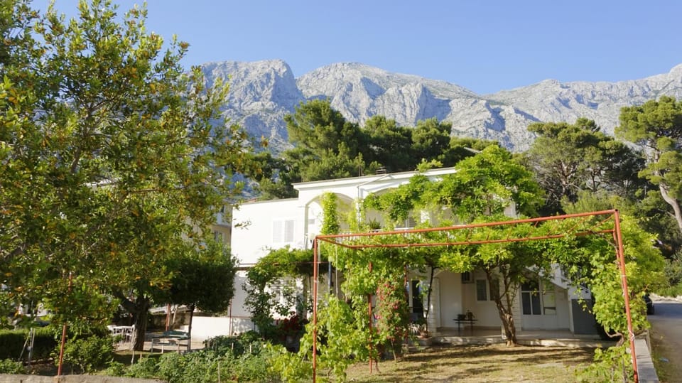 Property building, Garden, Garden view