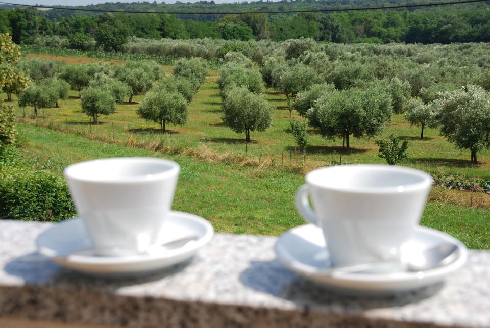 Day, Garden view