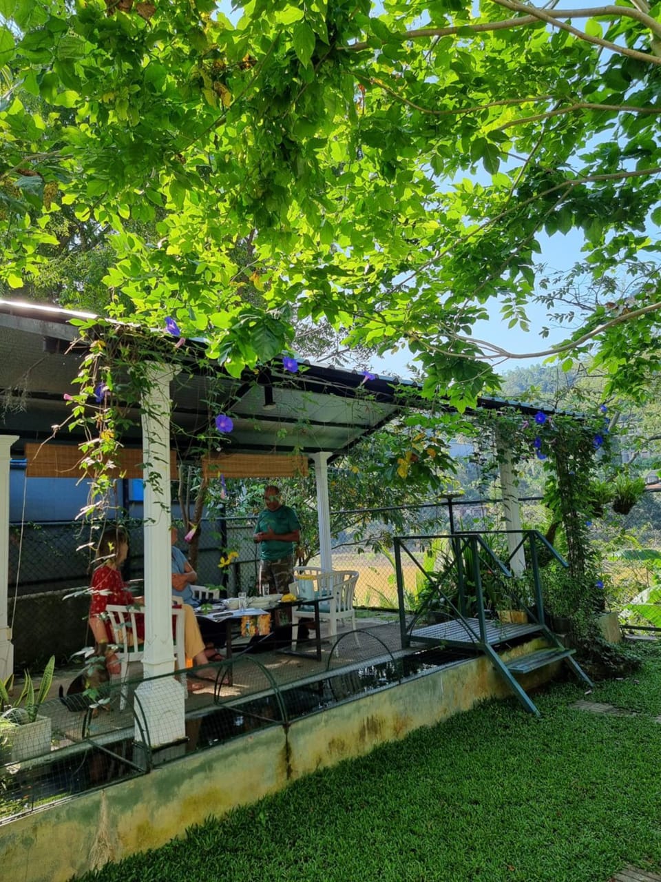Mahaweli Shades Bed and Breakfast in Gangawatakorale