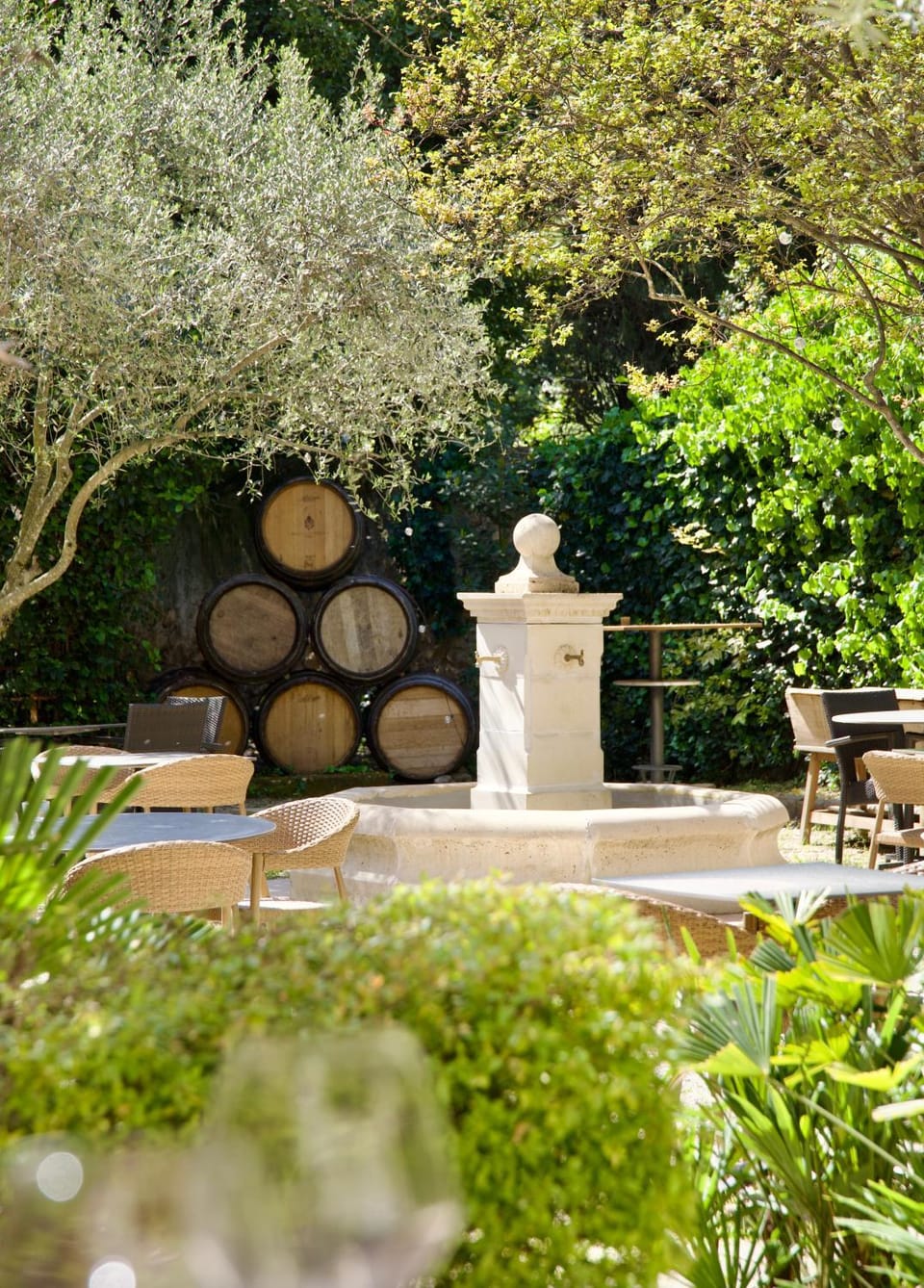 Patio, Garden