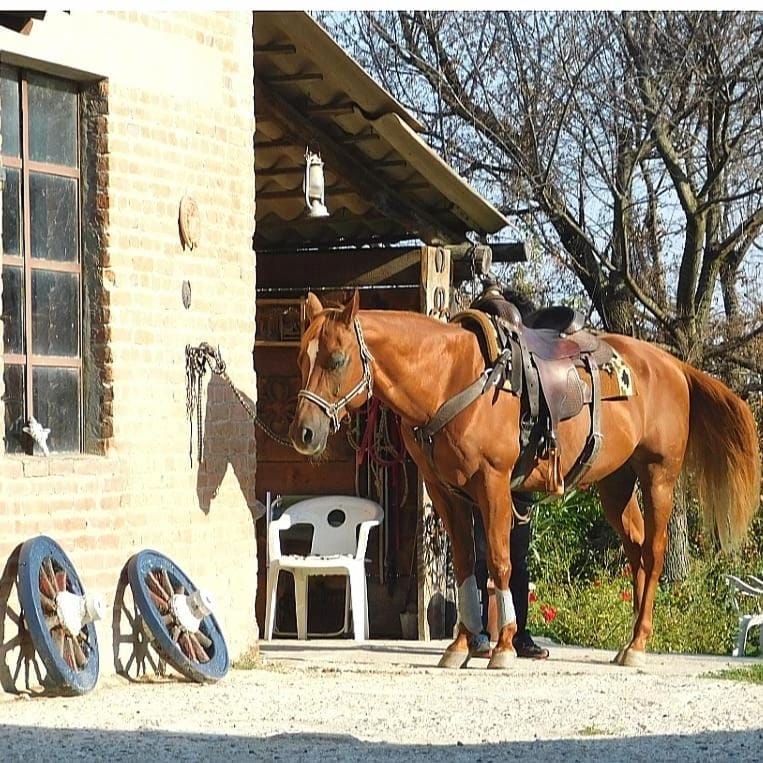 Felix House Bed and Breakfast in Lombardy