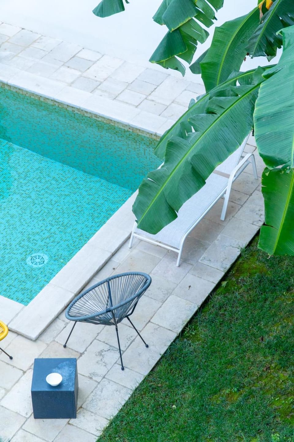 Garden, Garden view, Pool view, Swimming pool, sunbed