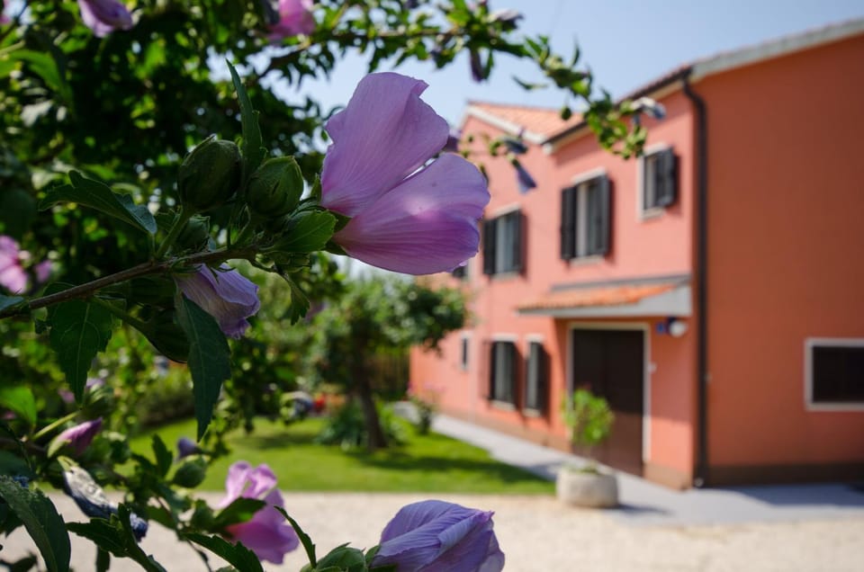 Property building, Other