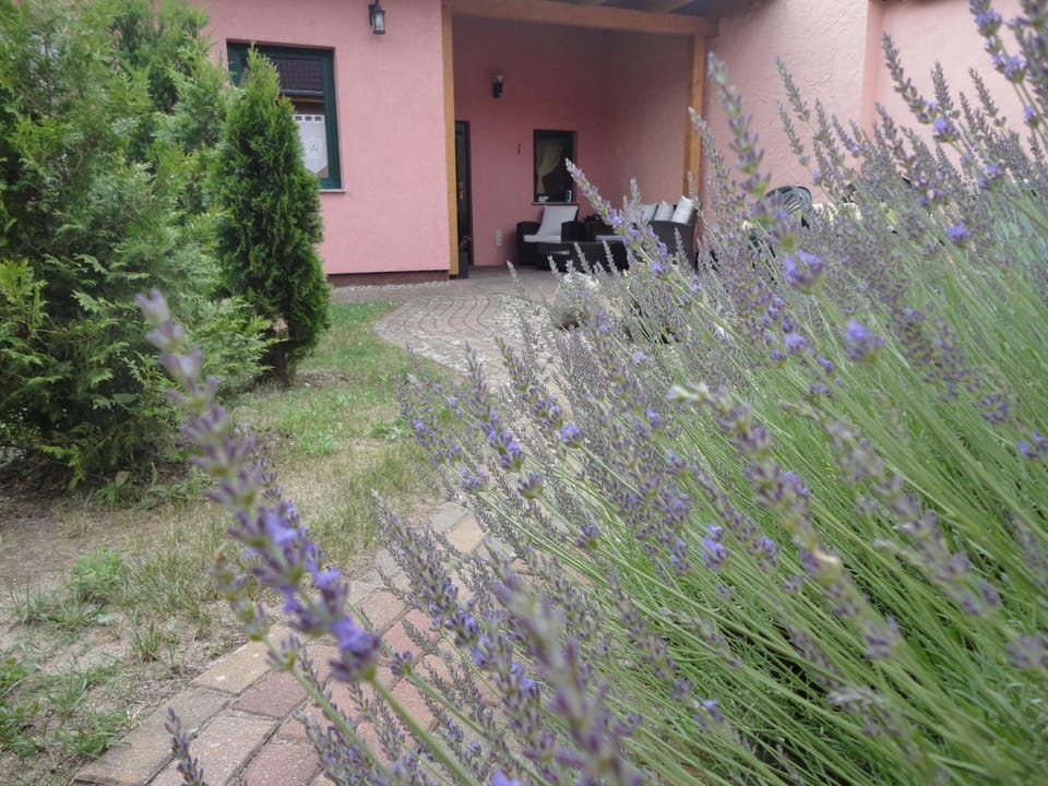 BBQ facilities, Balcony/Terrace