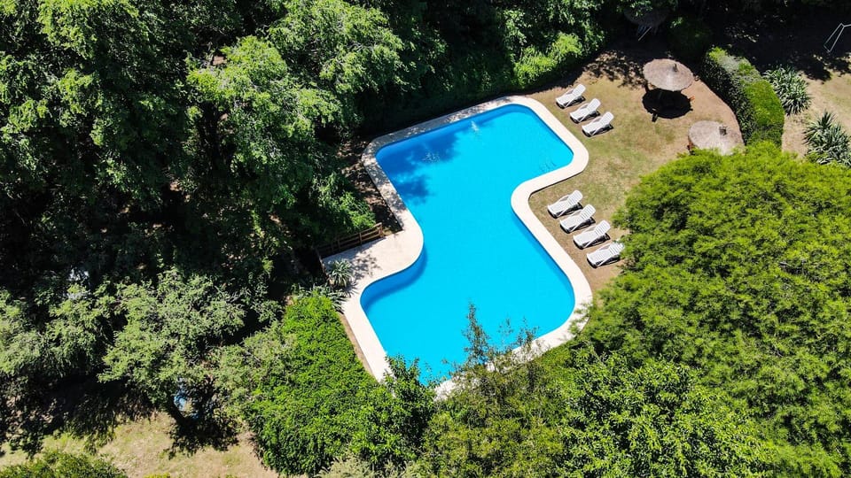 Day, Natural landscape, Bird's eye view, Garden, Garden view, Swimming pool, sunbed