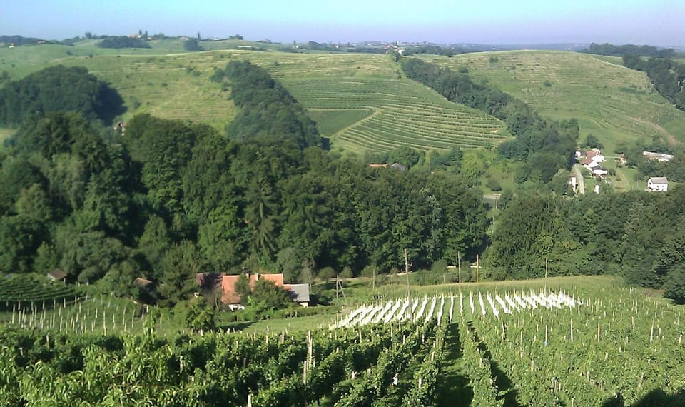 Agroturism Jures Farm Stay in Slovenia