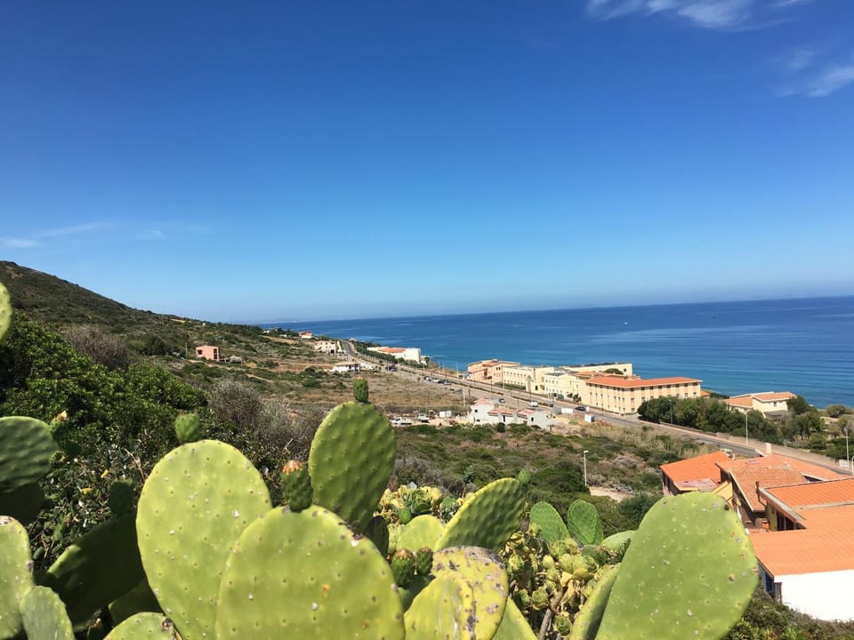 Sea view