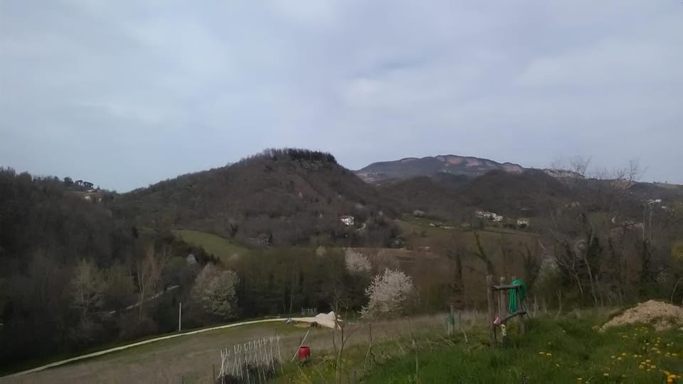 Spring