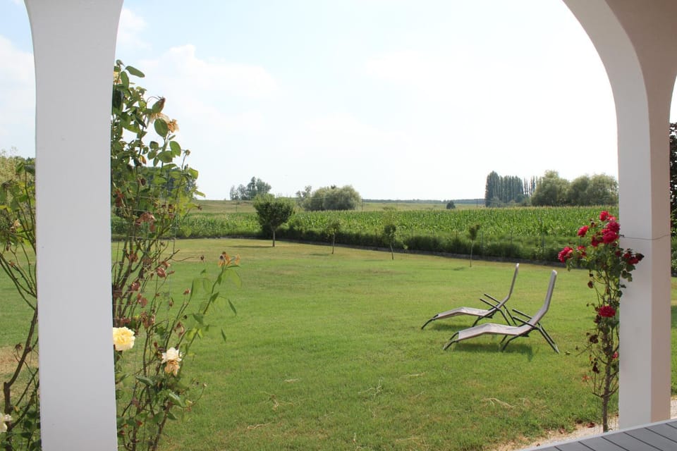 Patio, Garden, River view